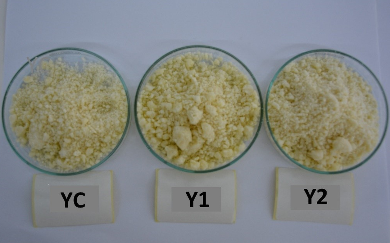 Effect of the concentration of inulin on the conversion of inulin in a