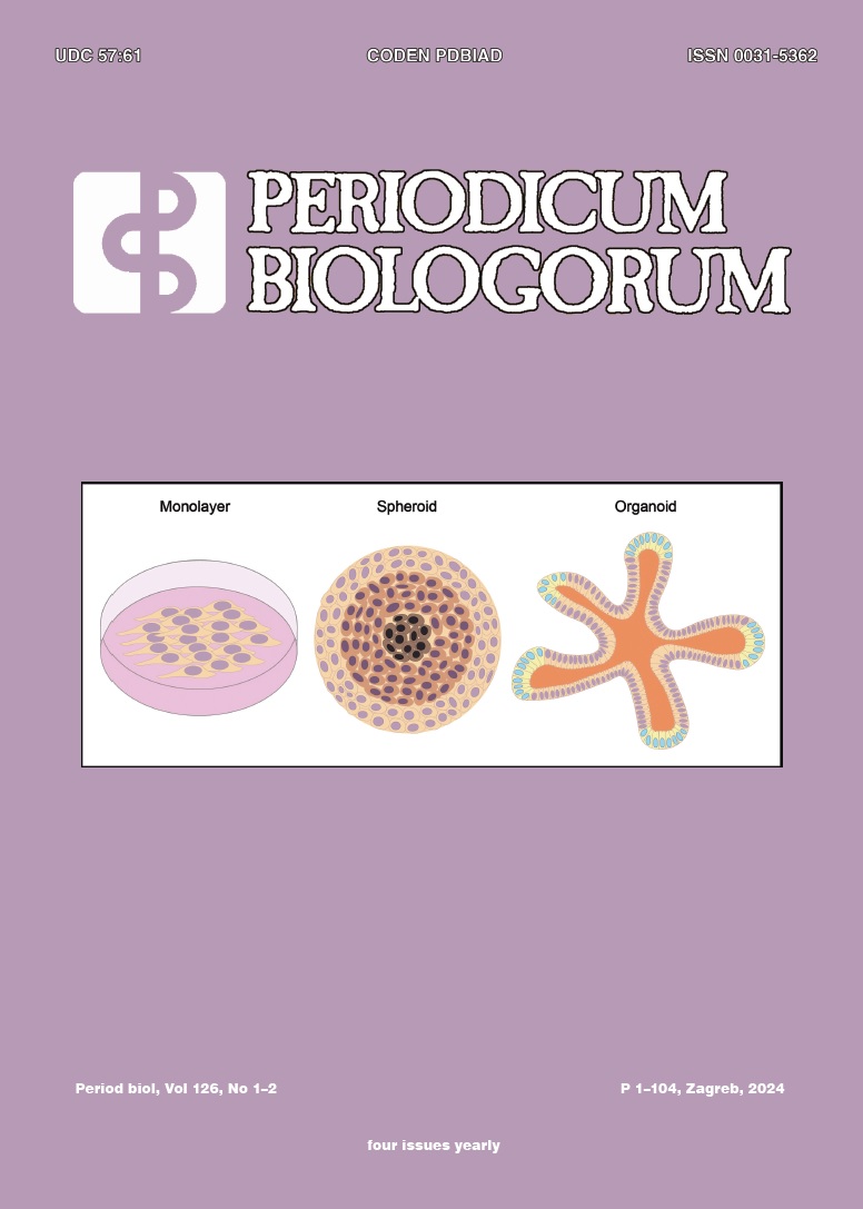 Three different ways of culturing cells: monolayers, spheroids and organoids (adapted from Figure 1 from ĆOSIĆ M, PETELINEC A 2024 Period biol 126(1–2): 1–14).