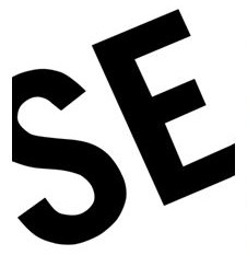 SE_Logo