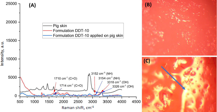 ADMET-12-2268-g012.jpg