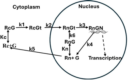 ADMET-12-2414-g001.jpg